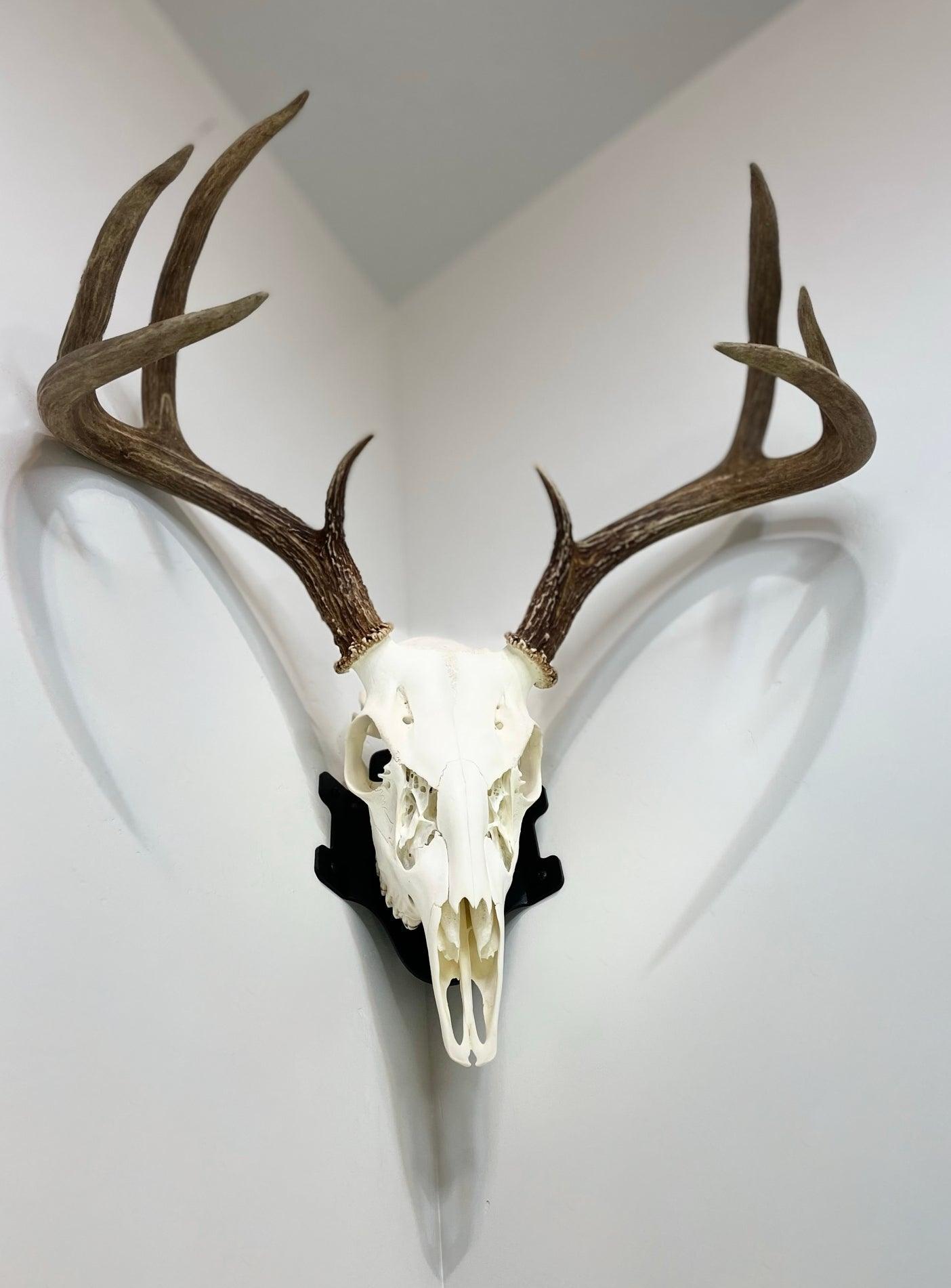 Corner Wall Bracket