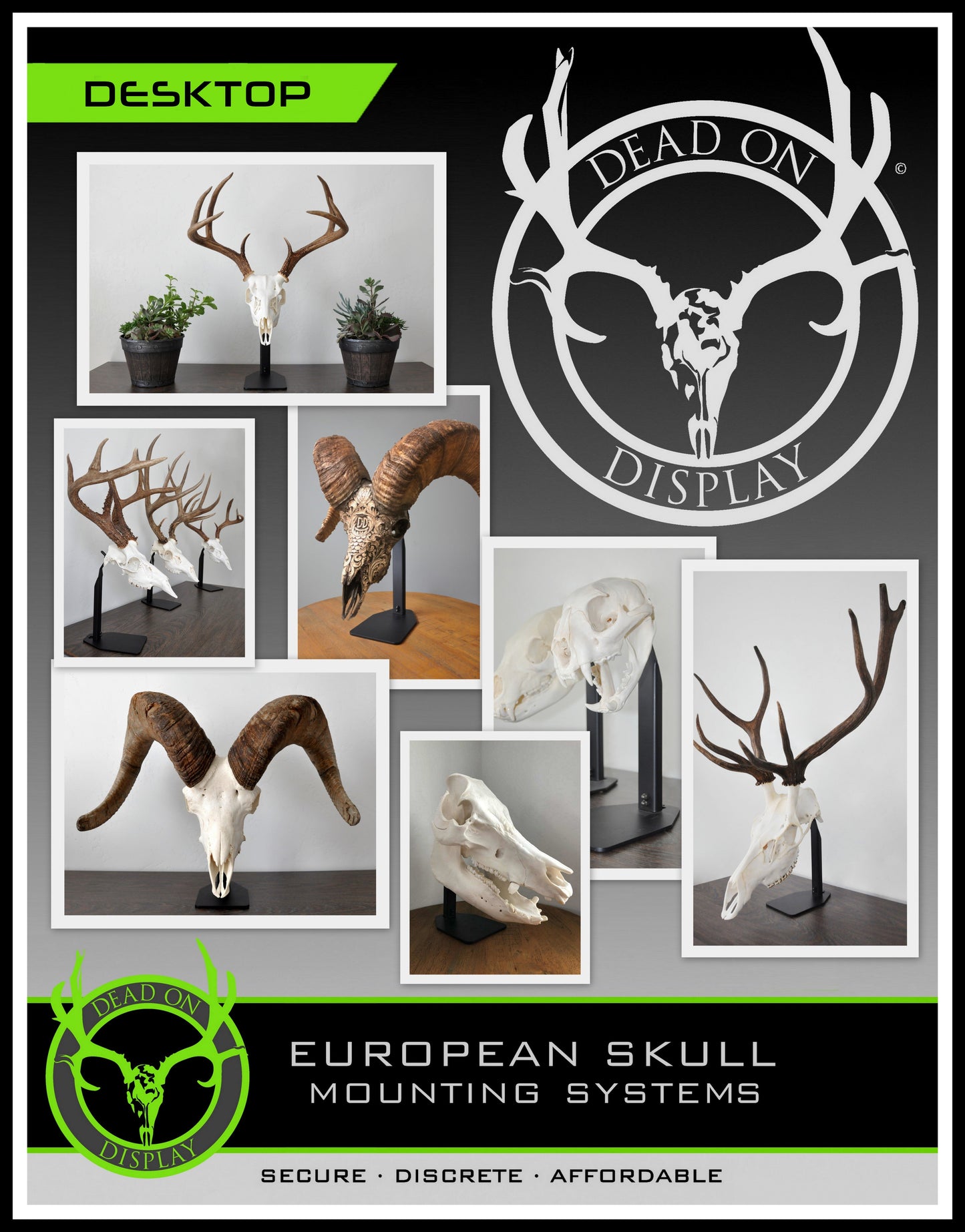 Desktop European Skull Mount Hanger