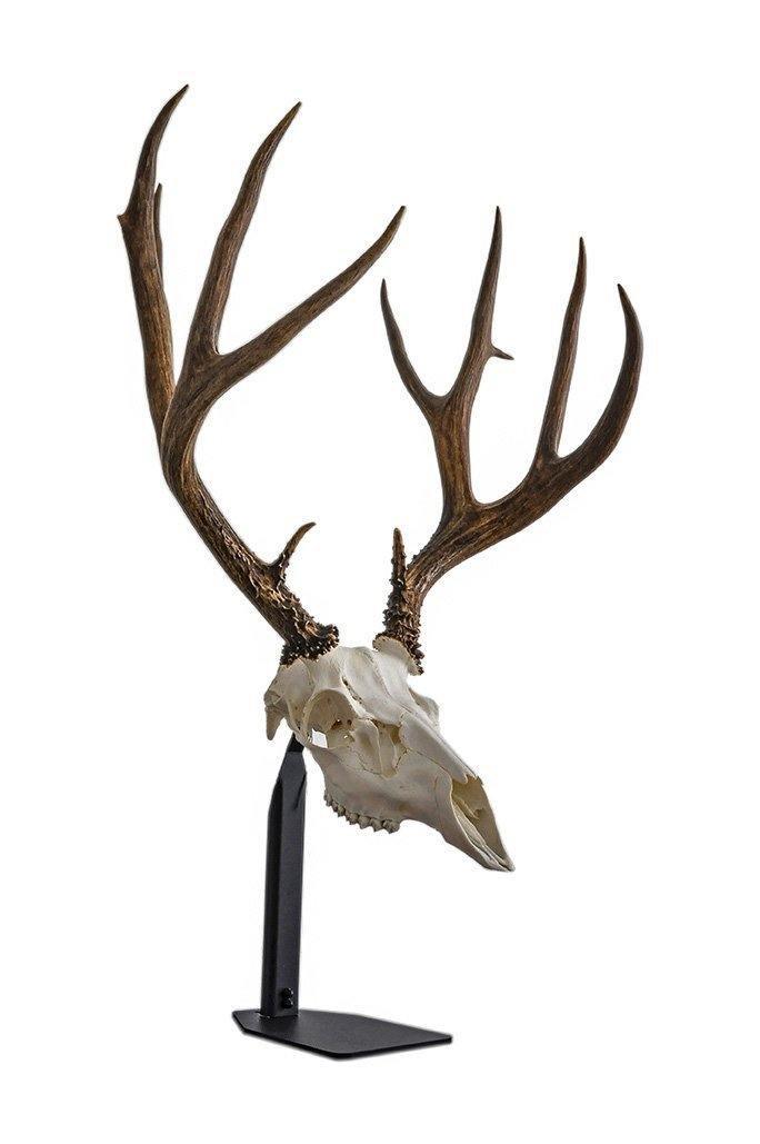Desktop European Skull Mount Hanger