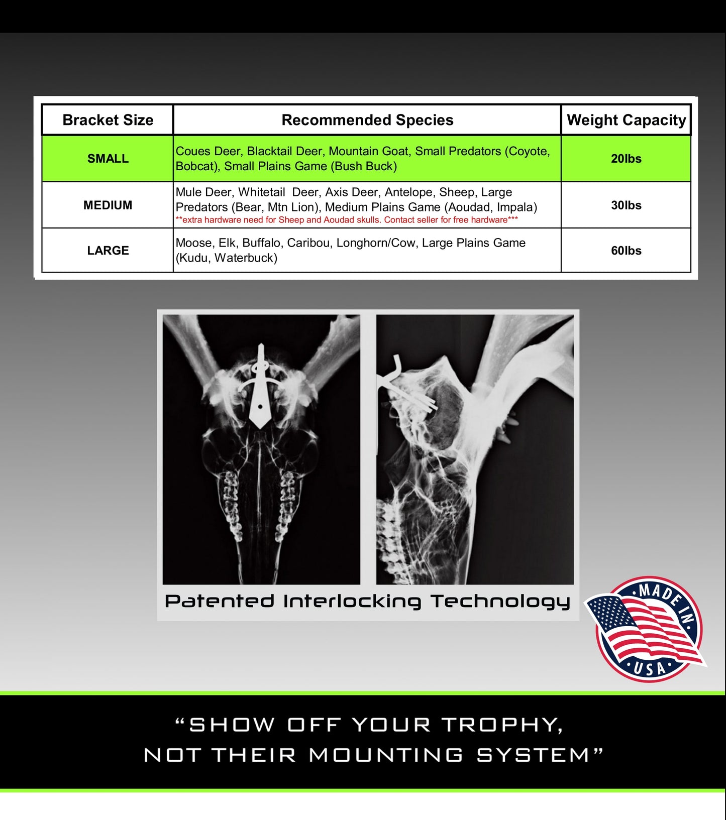 European Skull Mount Hanger - SMALL