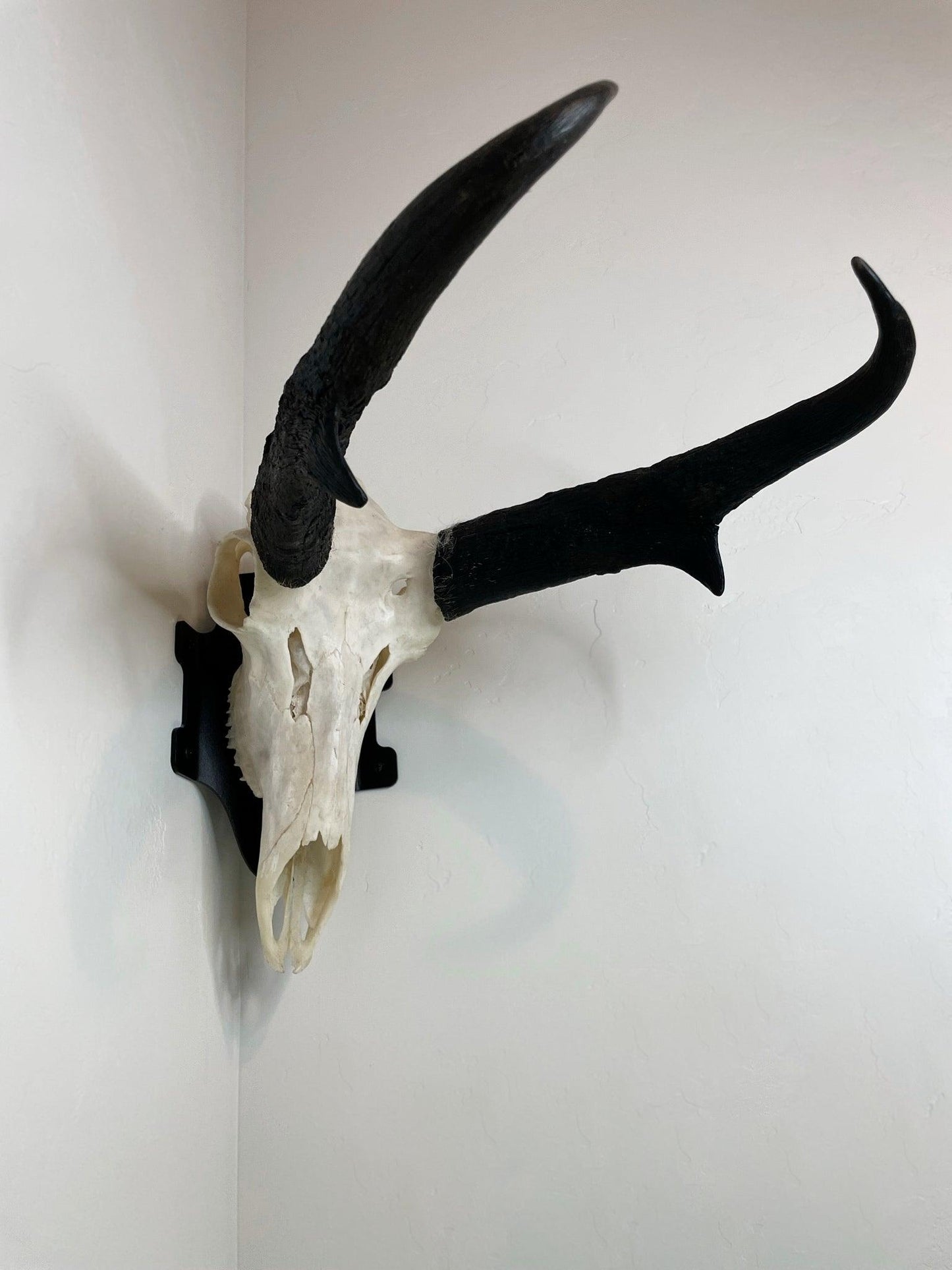 Corner Wall Bracket